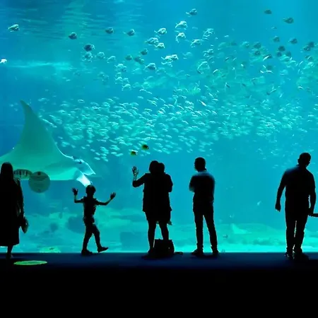 Dans Maison De Maitre