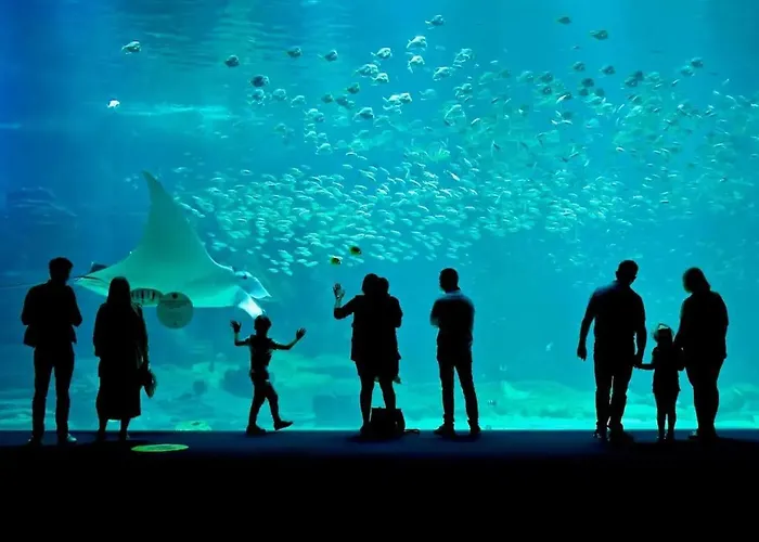 Dans Maison De Maitre